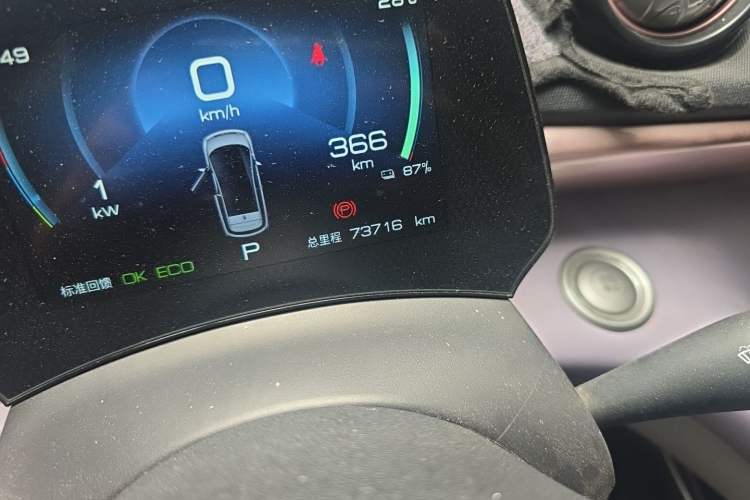 Used BYD Dolphin 2023 420 km Free Version Odometer Close Up