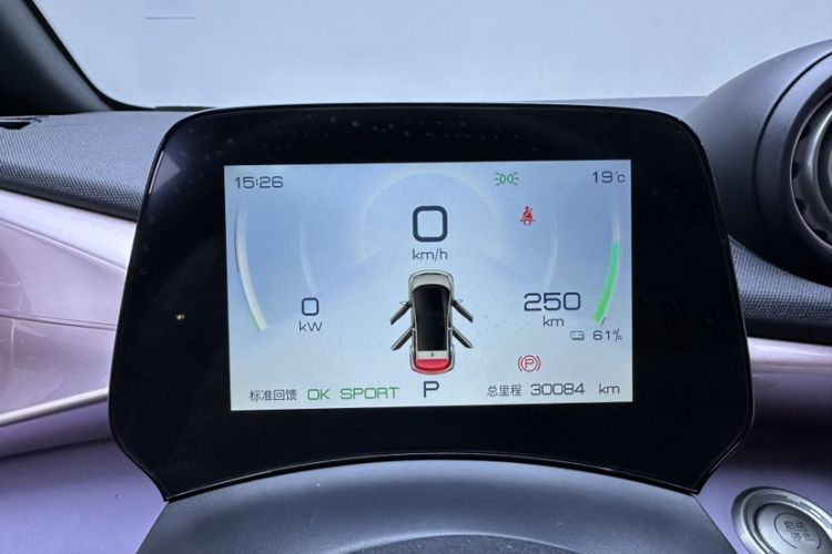 Used BYD Dolphin 2023 420 km Free Version Odometer Close Up