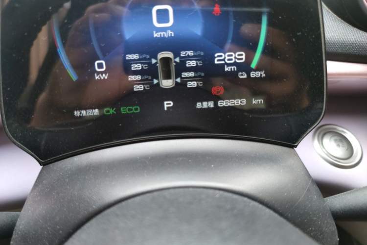 Used BYD Dolphin 2023 420 km Free Version Odometer Close Up