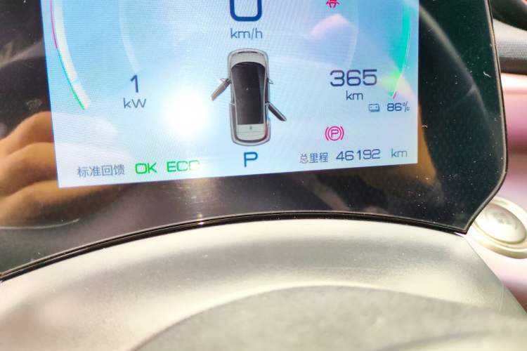 Used BYD Dolphin 2023 420 km Free Version Odometer Close Up