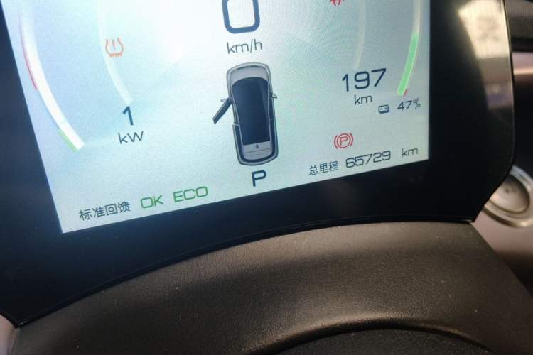 Used BYD Dolphin 2023 420 km Free Version Odometer Close Up