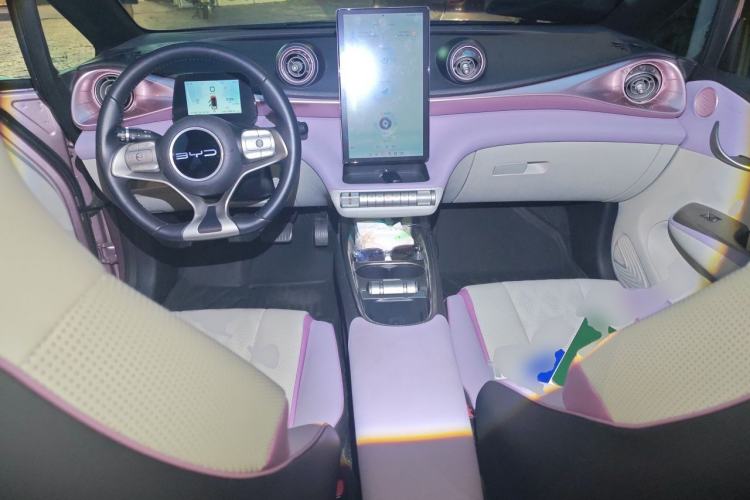 Used BYD Dolphin 2023 420 km Fashion Edition Center Console
