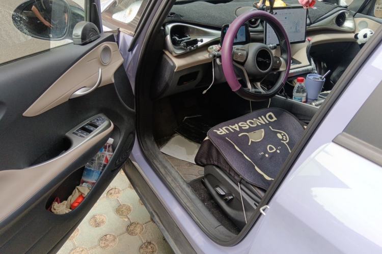 Used BYD Dolphin 2023 420 km Fashion Edition Driver Seat