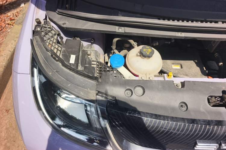 Used BYD Dolphin 2023 420 km Free Version Engine Bay Right