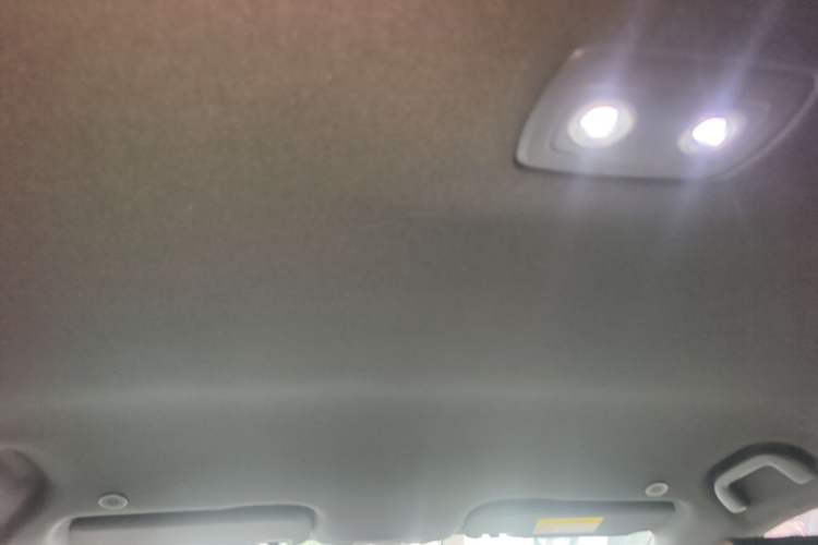 Used BYD Dolphin 2023 420 km Free Version Headliner