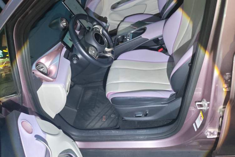 Used BYD Dolphin 2023 420 km Fashion Edition Left Front Seat