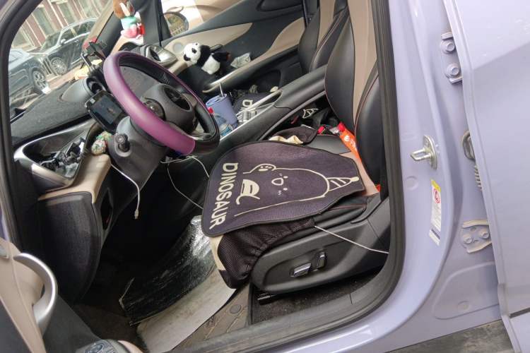 Used BYD Dolphin 2023 420 km Fashion Edition Left Front Seat