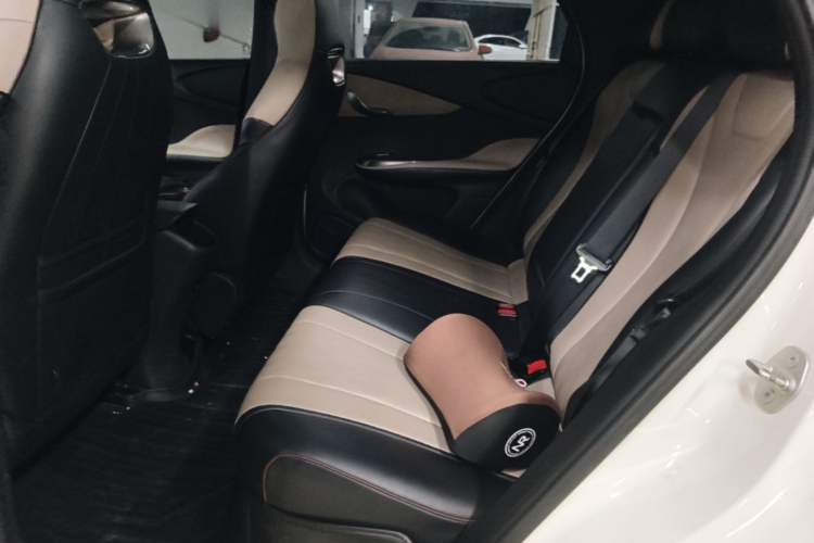 Used BYD Dolphin 2023 420 km Fashion Edition Left Rear Seat