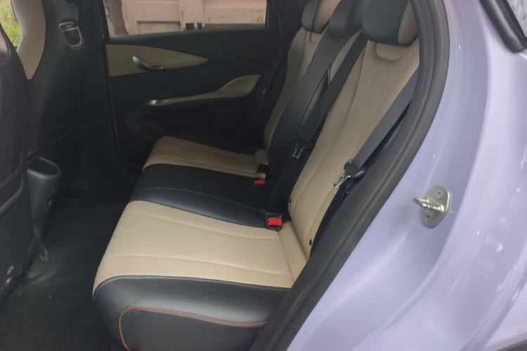 Used BYD Dolphin 2023 420 km Free Version Left Rear Seat