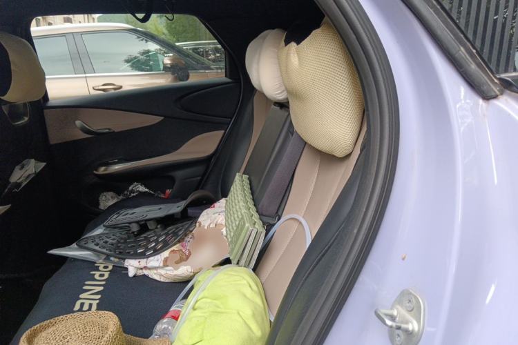 Used BYD Dolphin 2023 420 km Fashion Edition Left Rear Seat