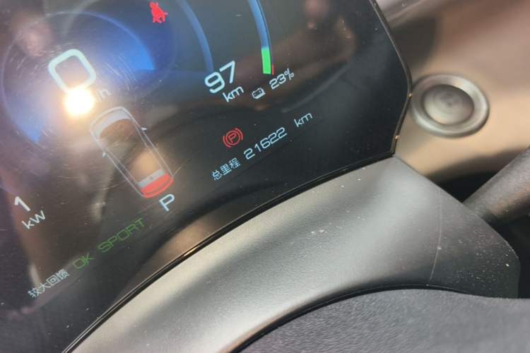 Used BYD Dolphin 2023 420 km Free Version Odometer Close Up