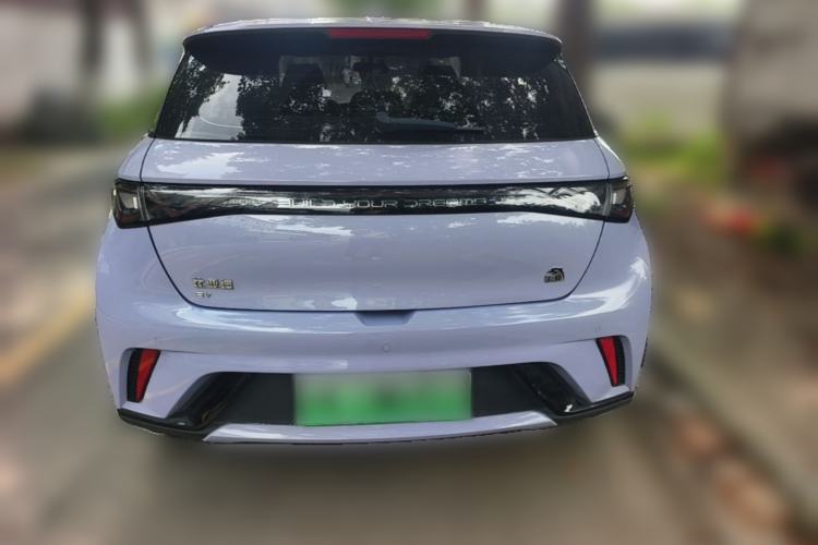 Used BYD Dolphin 2023 420 km Free Version Rear