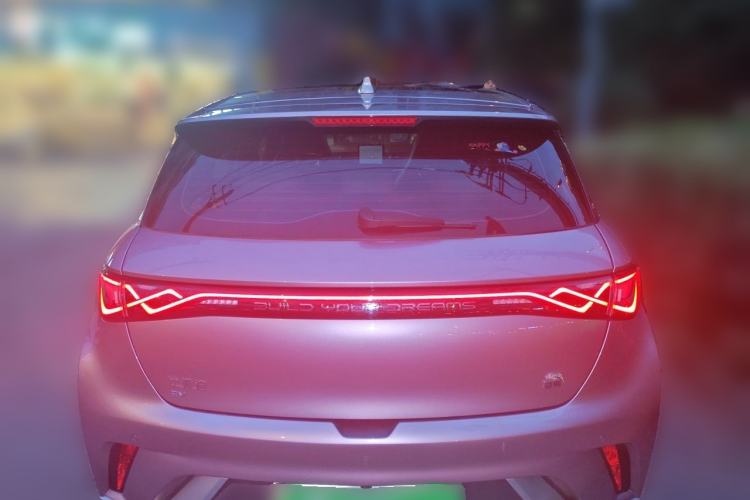 Used BYD Dolphin 2023 420 km Fashion Edition Rear