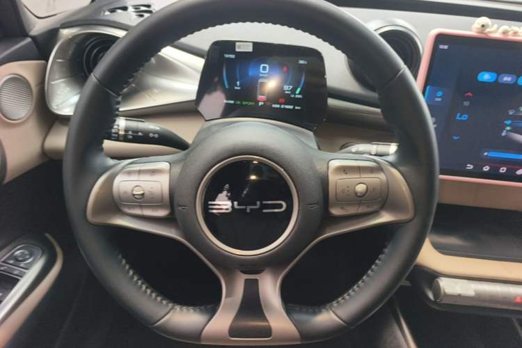 Used BYD Dolphin 2023 420 km Free Version Steering Wheel