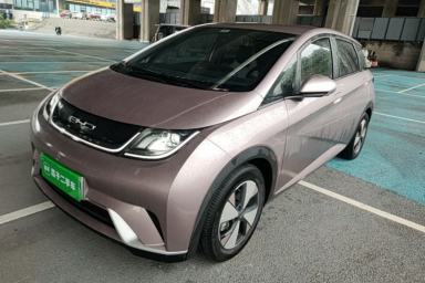 Used BYD Dolphin 2023 420 km Free Version