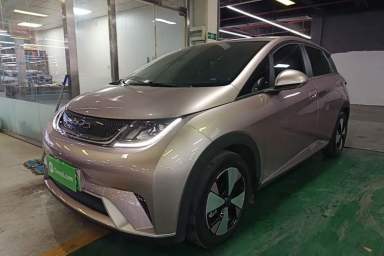 Used BYD Dolphin 2023 420 km Free Version