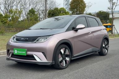 Used BYD Dolphin 2023 401km Knight Edition