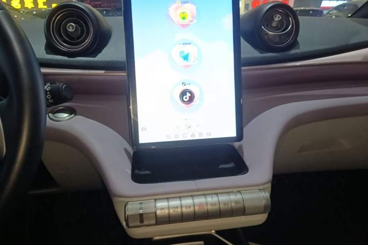 Used BYD Dolphin 2023 420 km Free Version Audio And AC Panel