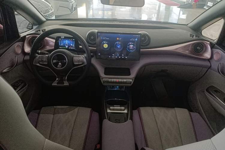 Used BYD Dolphin 2023 420 km Fashion Edition Center Console