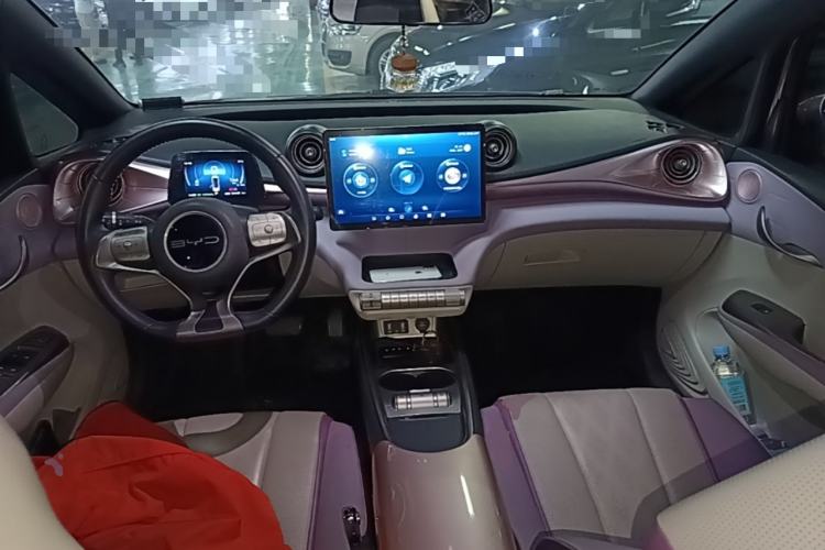 Used BYD Dolphin 2023 420 km Free Version Center Console