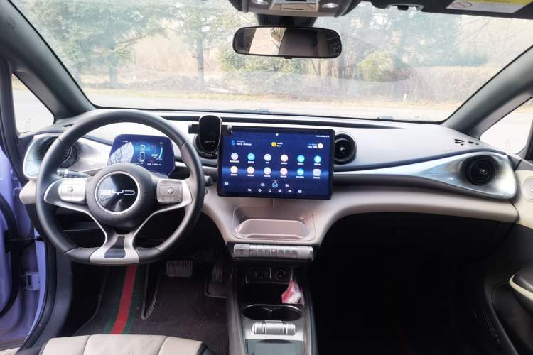 Used BYD Dolphin 2023 420 km Fashion Edition Center Console