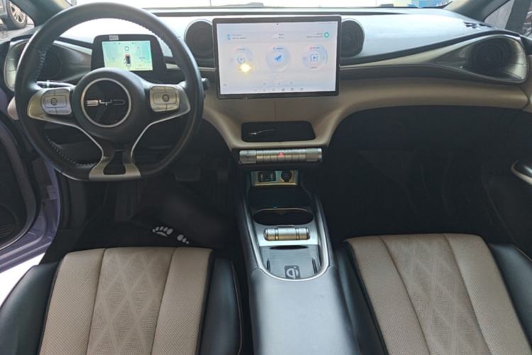 Used BYD Dolphin 2023 420 km Fashion Edition Center Console