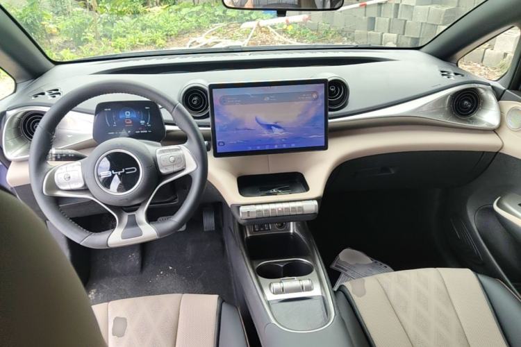 Used BYD Dolphin 2023 420 km Free Version Center Console