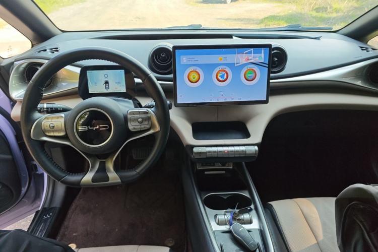 Used BYD Dolphin 2023 420 km Fashion Edition Center Console