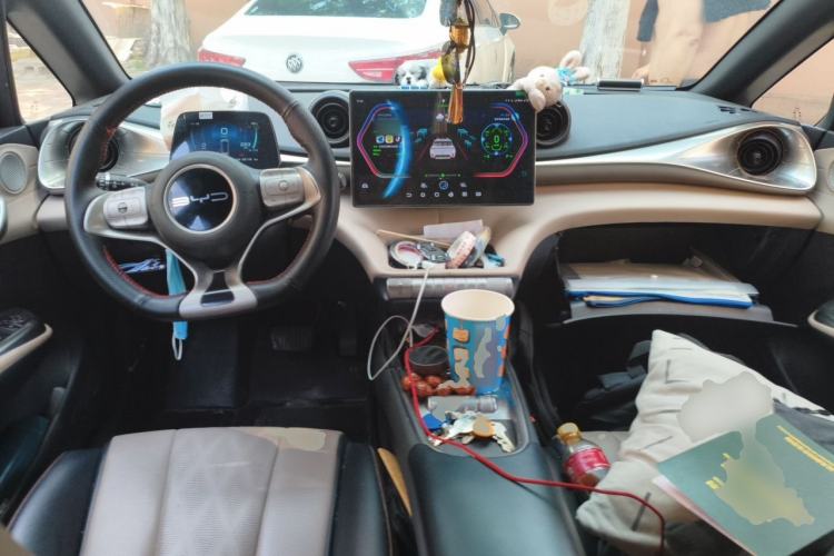 Used BYD Dolphin 2023 420 km Free Version Center Console