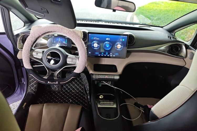 Used BYD Dolphin 2023 420 km Fashion Edition Center Console