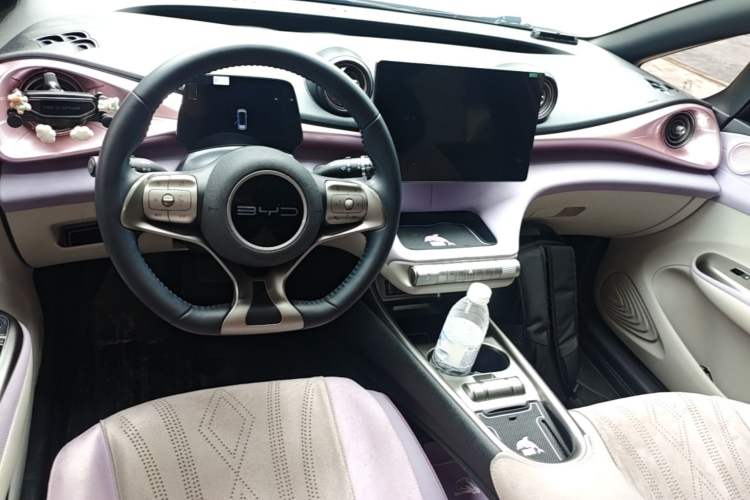 Used BYD Dolphin 2023 420 km Free Version Center Console