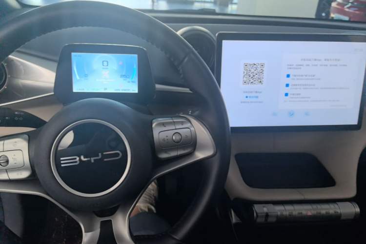 Used BYD Dolphin 2023 420 km Fashion Edition Center Console