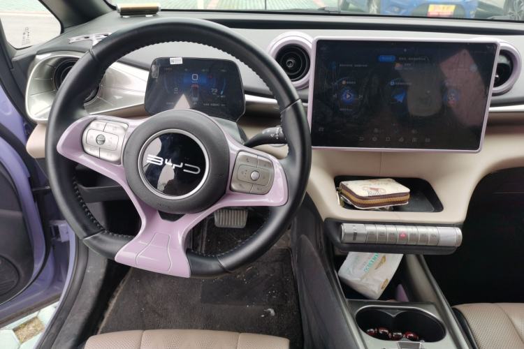 Used BYD Dolphin 2023 420 km Free Version Center Console