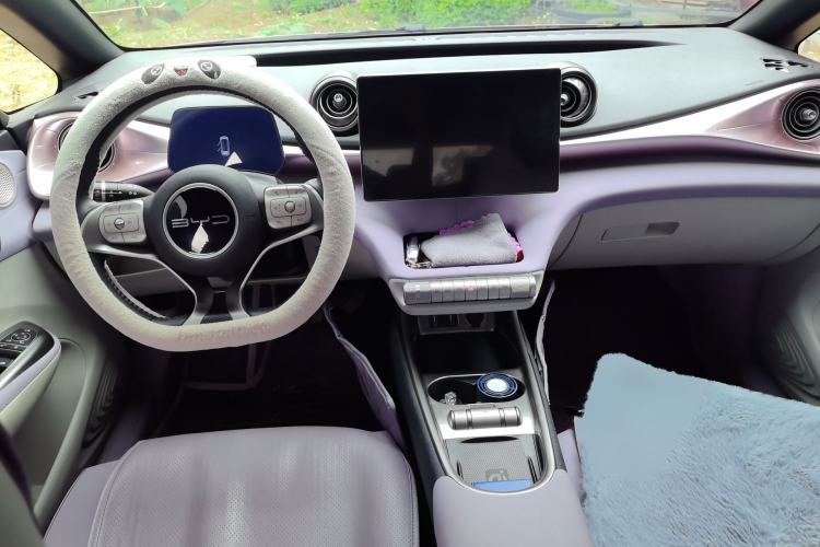 Used BYD Dolphin 2023 420 km Fashion Edition Center Console