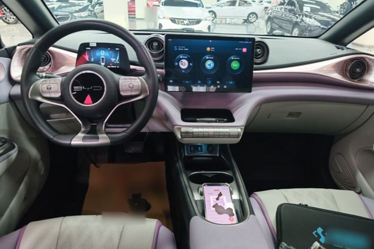 Used BYD Dolphin 2023 420 km Free Version Center Console