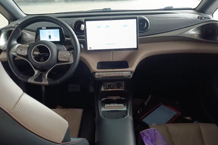 Used BYD Dolphin 2023 420 km Fashion Edition Center Console