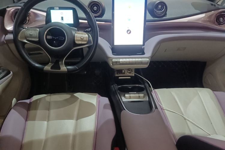 Used BYD Dolphin 2023 420 km Free Version Center Console