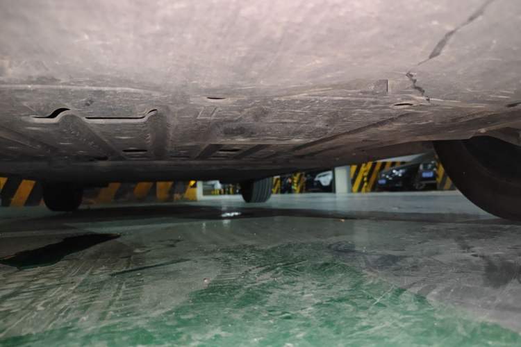 Used BYD Dolphin 2023 420 km Free Version Chassis Front