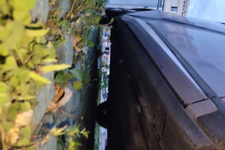 Used BYD Dolphin 2023 420 km Free Version Chassis Front Right