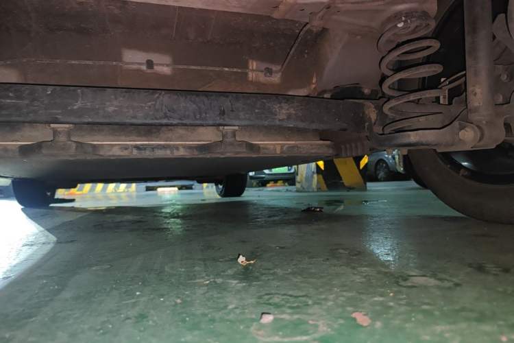Used BYD Dolphin 2023 420 km Free Version Chassis Rear