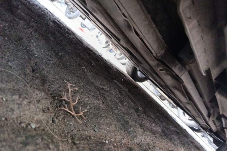 Used BYD Dolphin 2023 420 km Fashion Edition Chassis Rear Right
