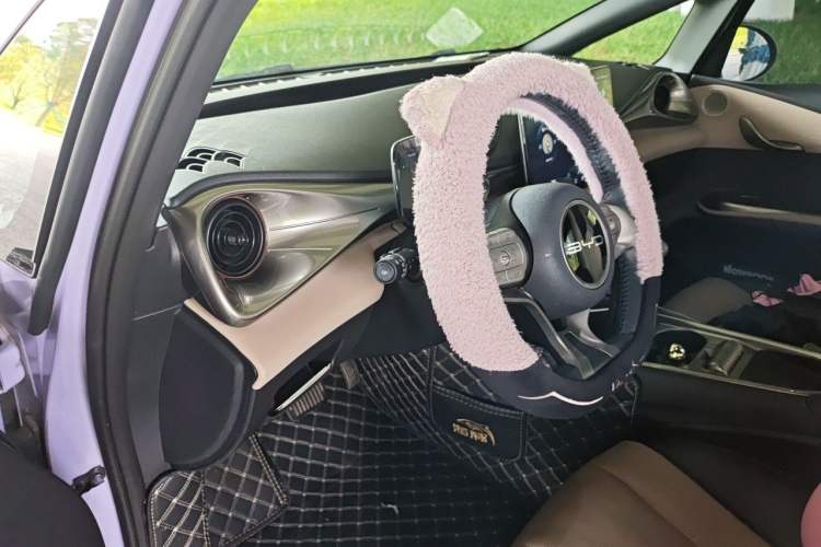 Used BYD Dolphin 2023 420 km Fashion Edition Driver Seat