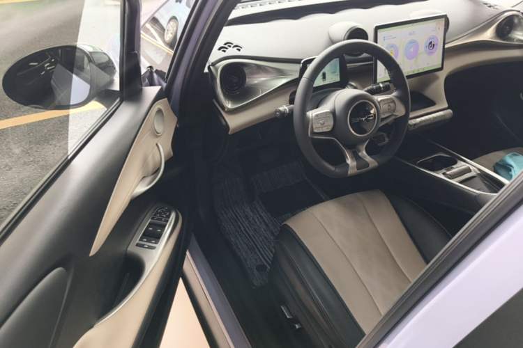 Used BYD Dolphin 2023 420 km Fashion Edition Driver Seat