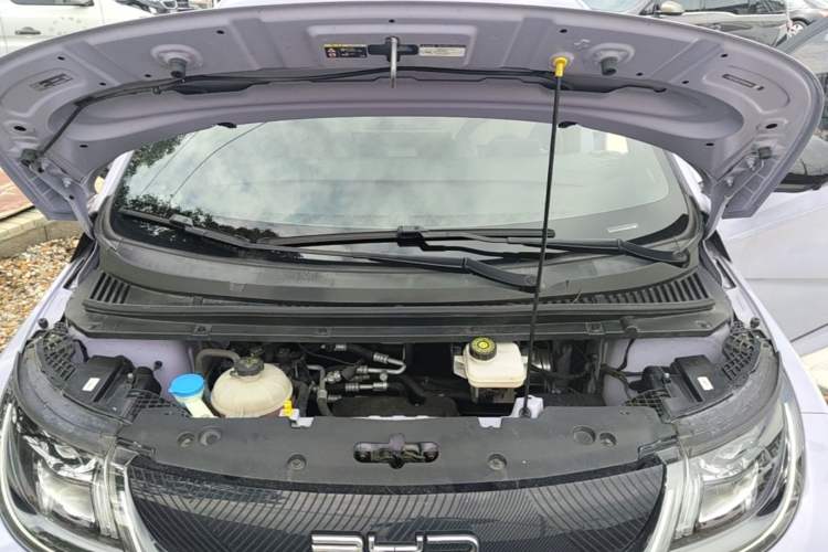 Used BYD Dolphin 2023 420 km Free Version Engine Bay