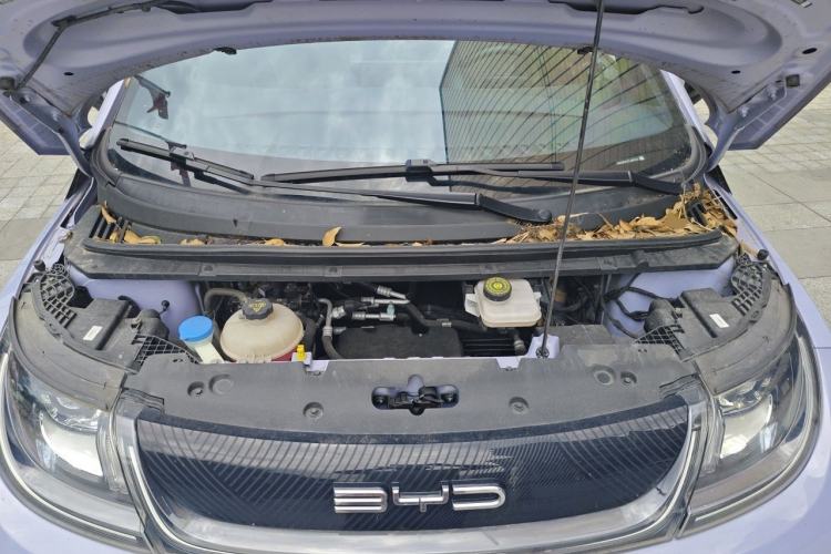 Used BYD Dolphin 2023 420 km Free Version Engine Bay