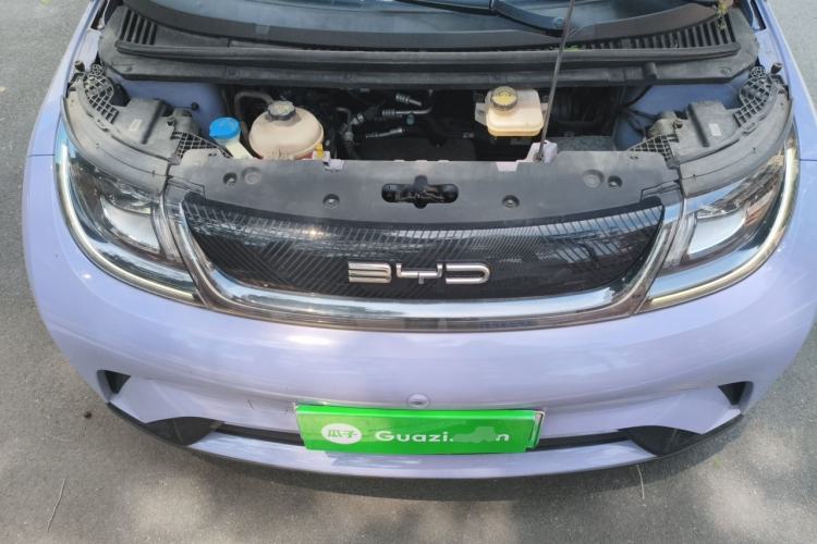 Used BYD Dolphin 2023 420 km Free Version Engine Bay