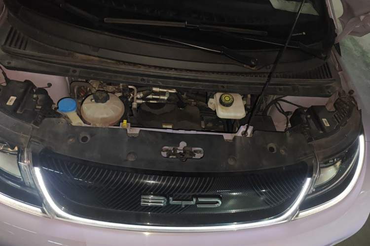 Used BYD Dolphin 2023 420 km Free Version Engine Bay