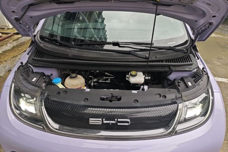 Used BYD Dolphin 2023 420 km Free Version Engine Bay