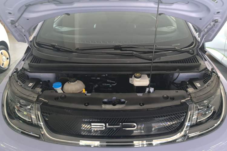 Used BYD Dolphin 2023 420 km Fashion Edition Engine Bay