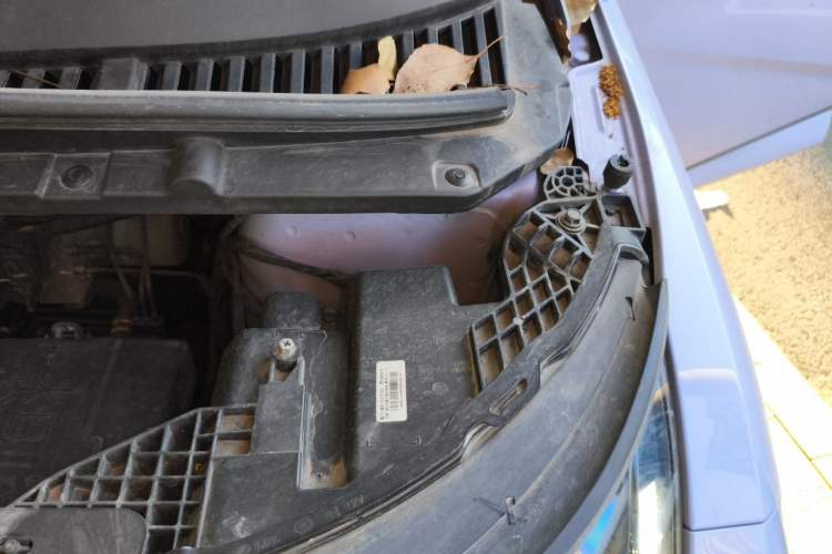 Used BYD Dolphin 2023 420 km Free Version Engine Bay Left